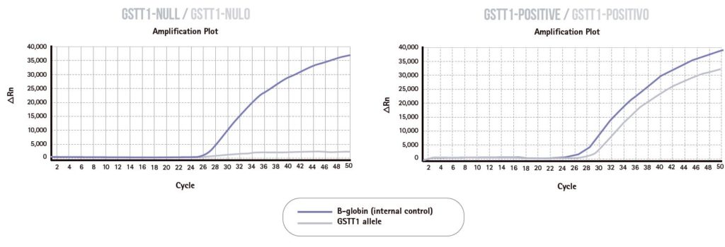 Genvinset Gstt1 Glutathion S Transferasa Theta 1 Diagnostica Longwood