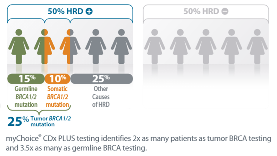 hrd genes